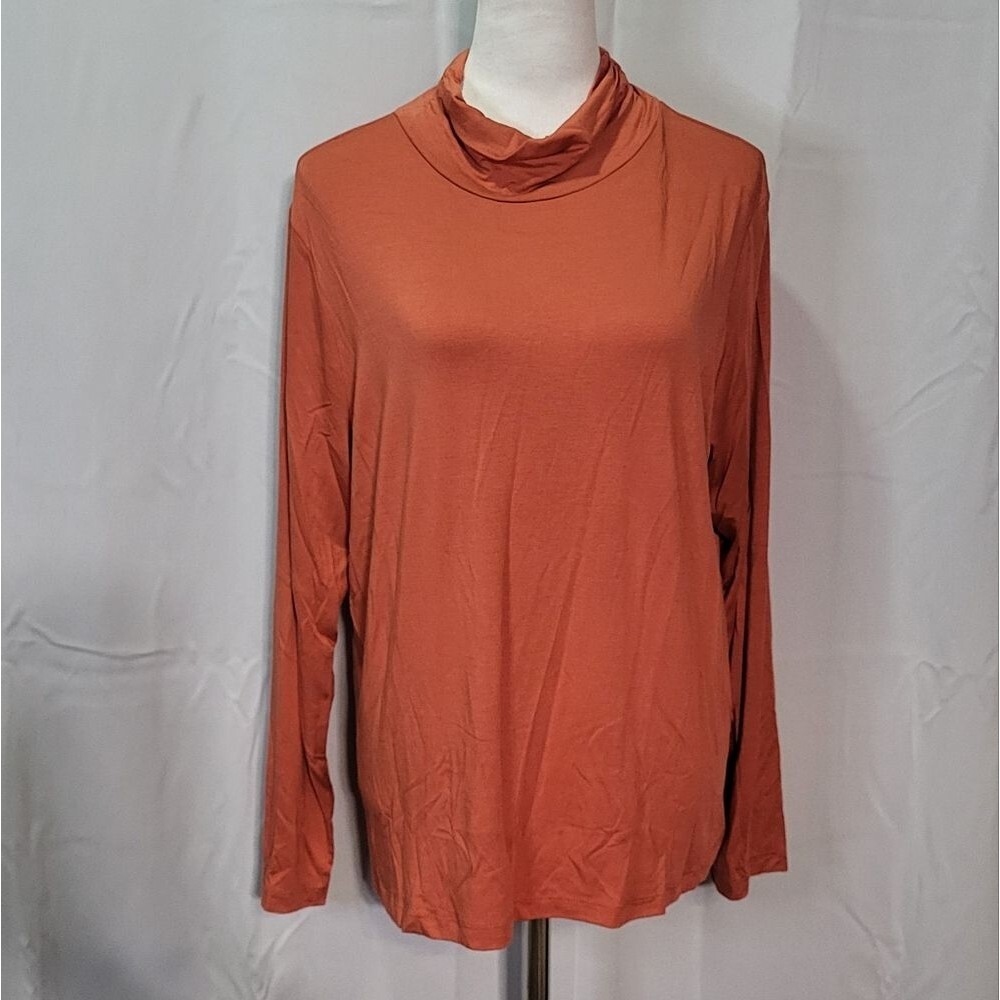 Jillian Nicole Women's NWT Orange Turtleneck Long Sleeve Top Size 1X - Picture 2 of 10